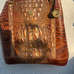 Brahmin Bag With Wallet