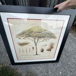 Framed Wall Decor Canvas