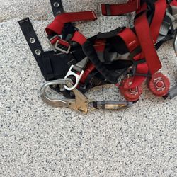 Harness 