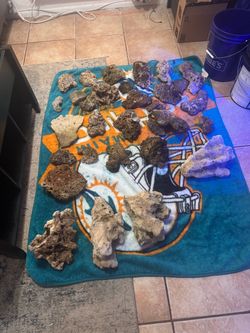 Mixed Live Rock Lot for Reef Aquarium
