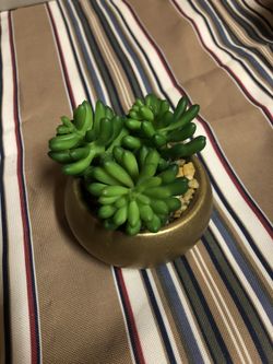 Fake Succulent