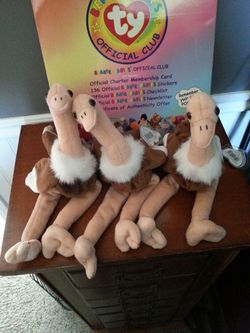 3 Ostrich beanie babies