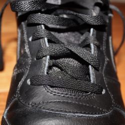 Nike Dunks Black Size: 10.5