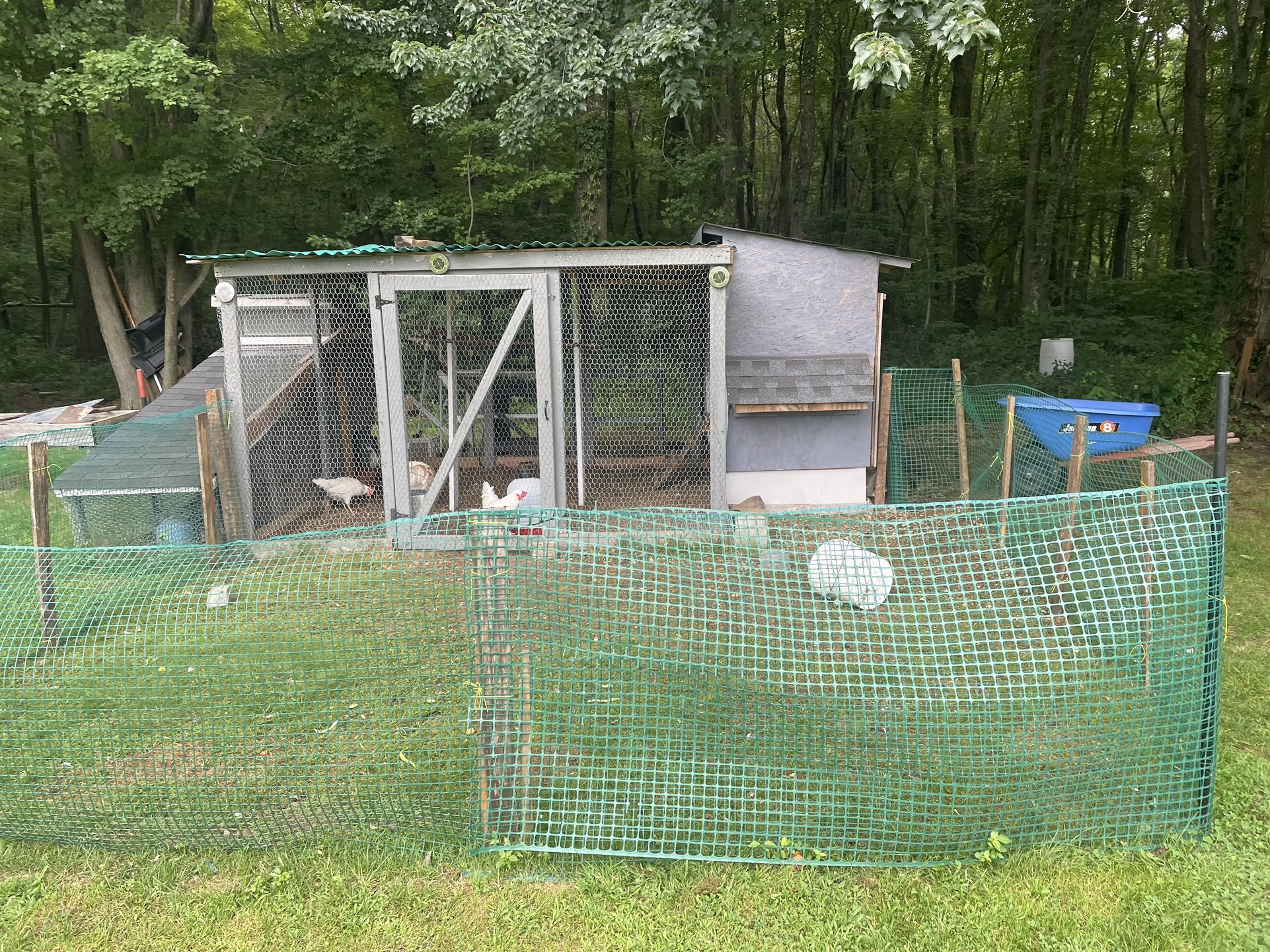 Nice Large Chicken Coop With Extra