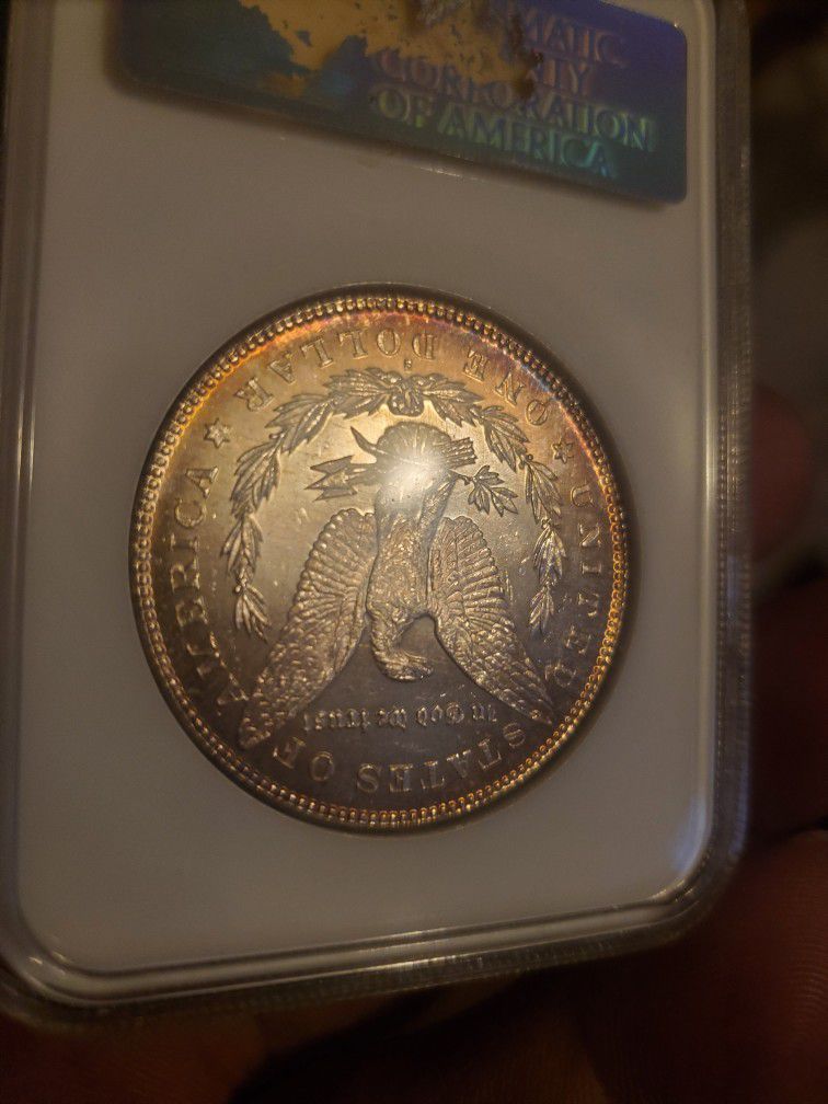 Ms63pl Morgan Silver Dollar 
