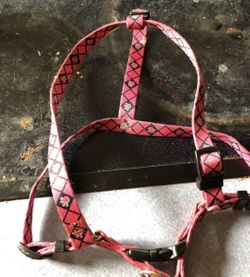 Dog harness