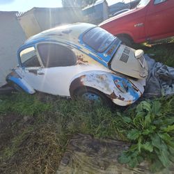 69 Vw Bug