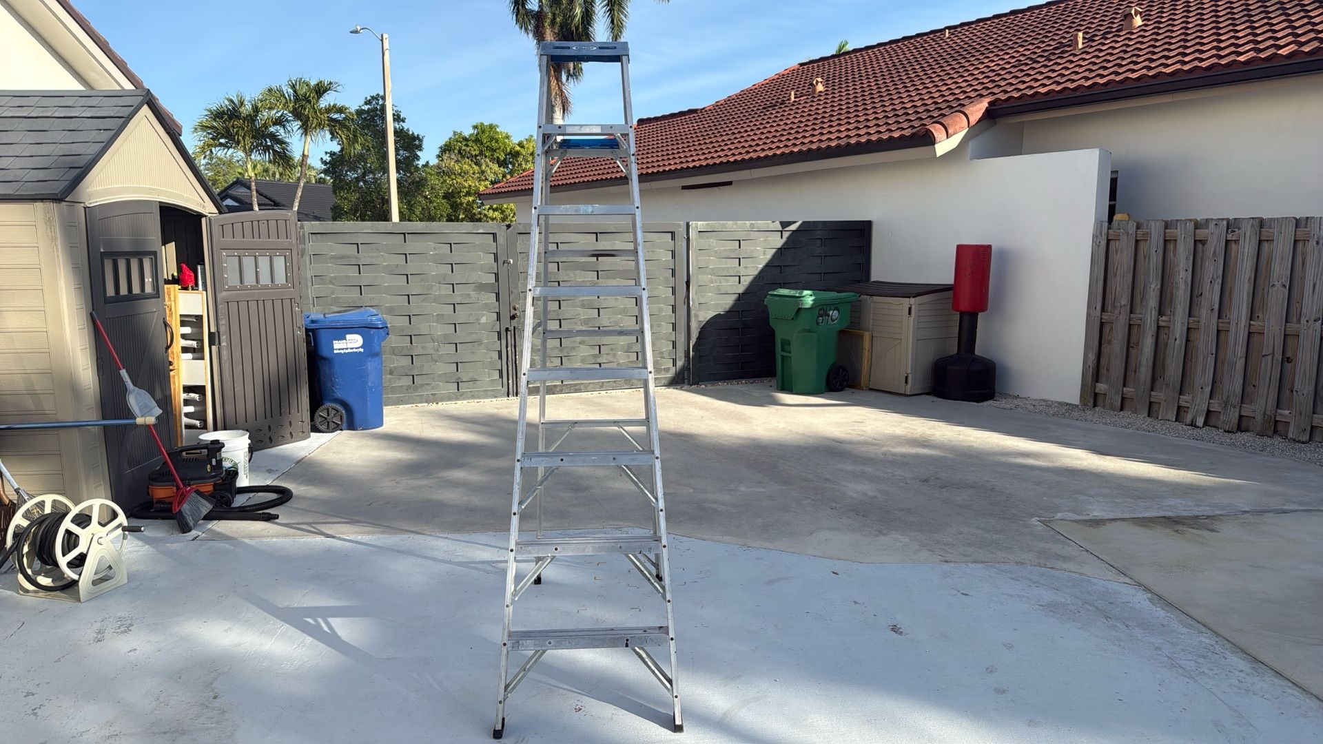 Werner 8 Foot Ladder