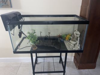 Fish Tank\Pecera