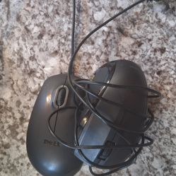 Computer Mouses