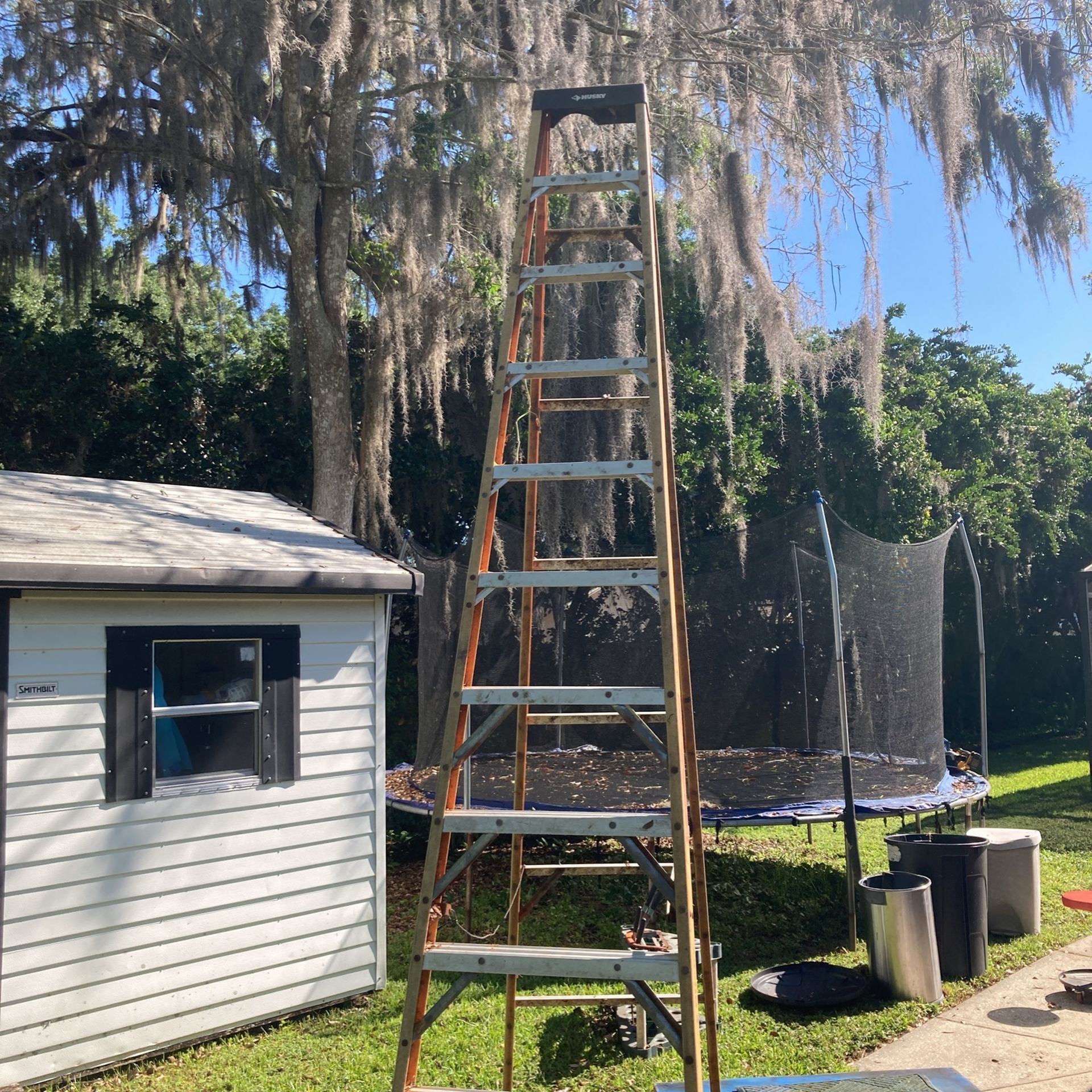 12' Ladder