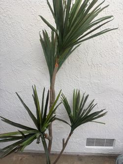 Faux palm