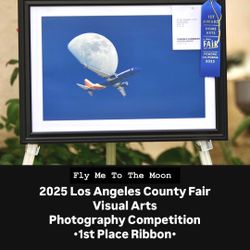 AIRPLANE AND MOON FRAMED PRINT