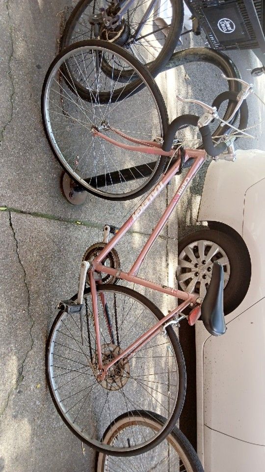 Raleigh Bike
