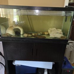 Axolotl With Setup Included 