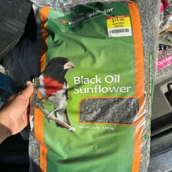 Bird Seed For Bird Feeders