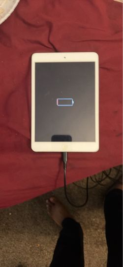 iPad mini