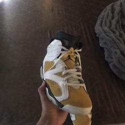 Jordan 6s