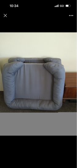 PREMIUM large dog begs