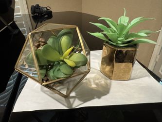 Modern Gold Faux Succulent Decor Set