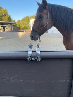 Riding spurs