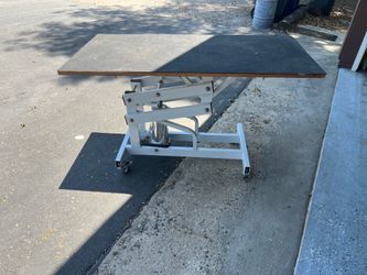 Hydraulic Grooming Table