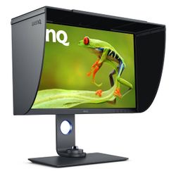 Photo & Video BenQ SW321C  Monitor (2021)