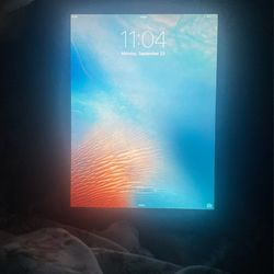 Apple IPAD MINI 16 GB UNLOCKED