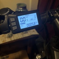 TotGuard Electric Bike
