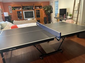 Ping Pong Table