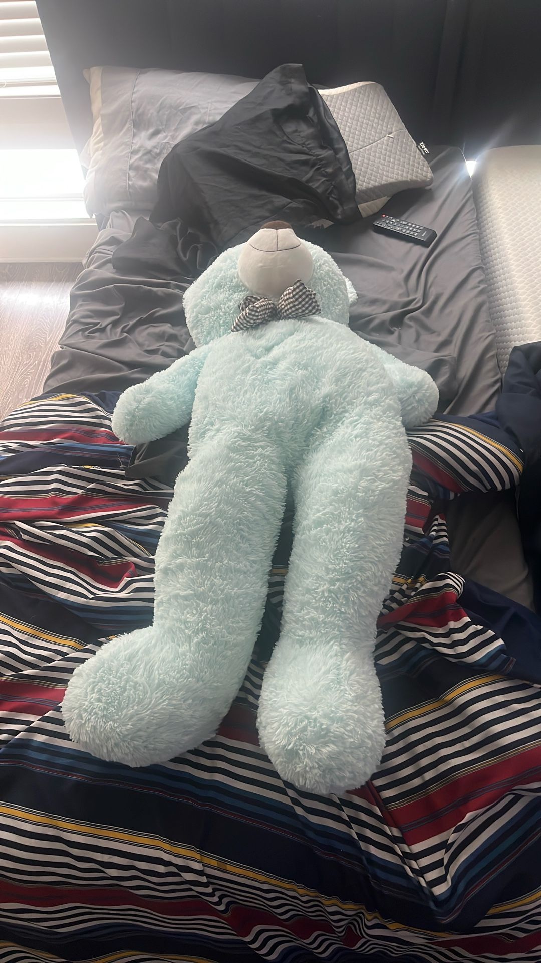 Bear