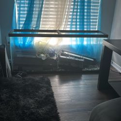 Huge Fish/reptile Tank 