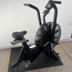 Rogue Echo Bike with Wind Guard/Cell Phone Attachment CrossFit Hyrox 