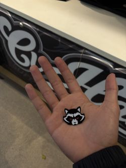 Raccoon Pin