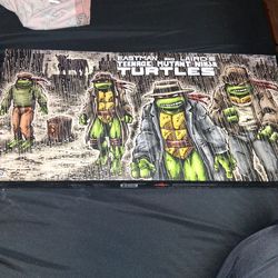 Eastman and lairds teenage mutant ninja turtles