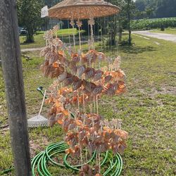 Large seashell Chimes