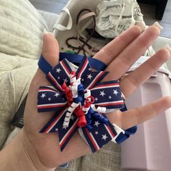 4th of July Pet Costume