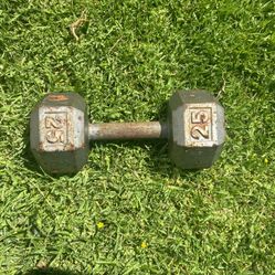 25 Pound Dumbbell