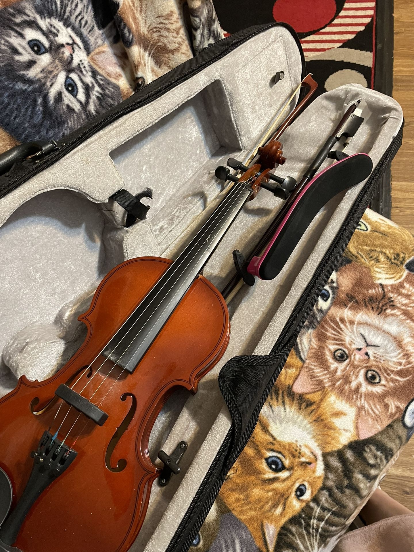 Violin 