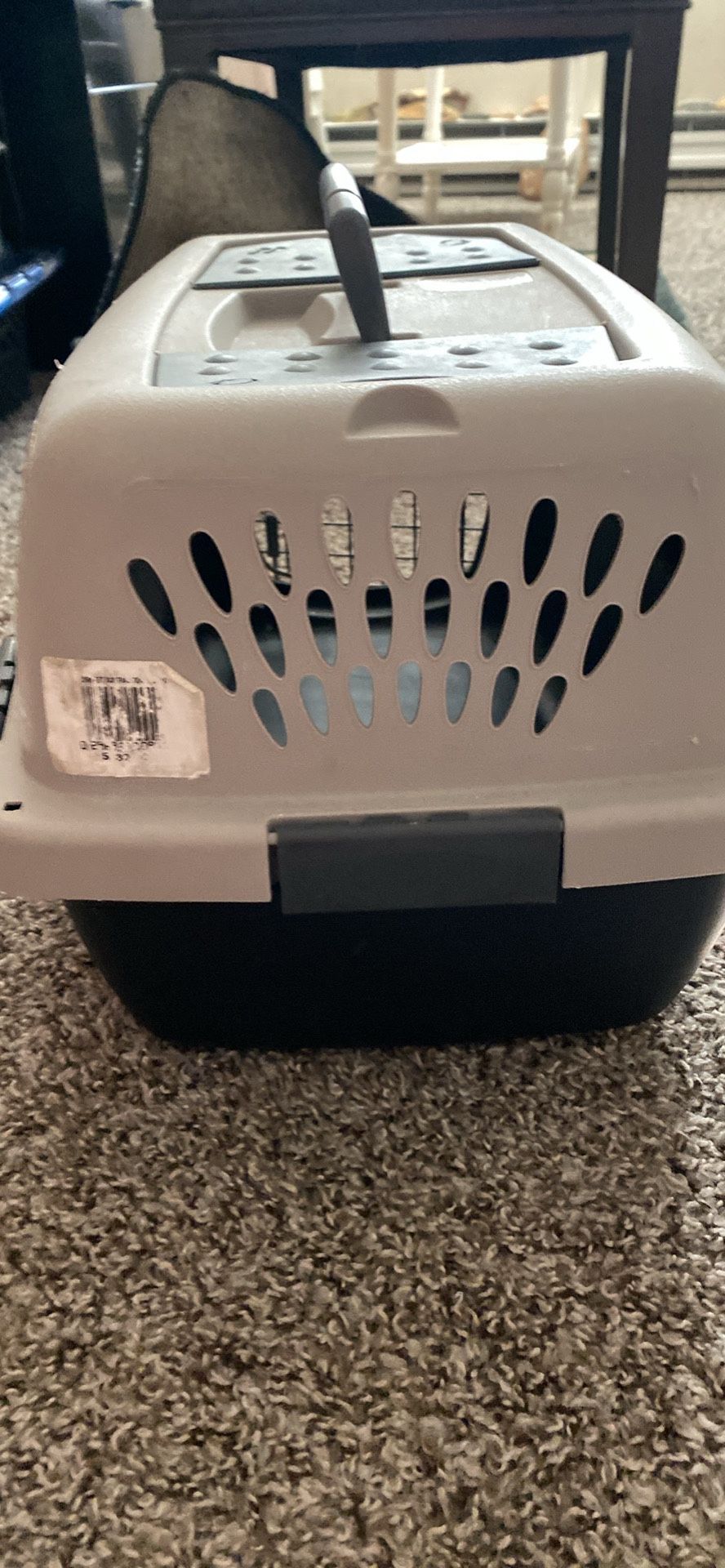 Cat  Carrier ( or Small Pet) .. Cat Food / Kitty Liter Included 