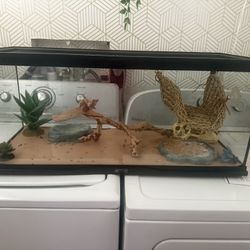 Tank 