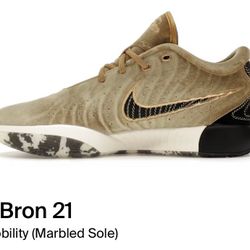 Lebron 21 Shoes