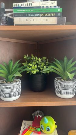Fake plants-home decor