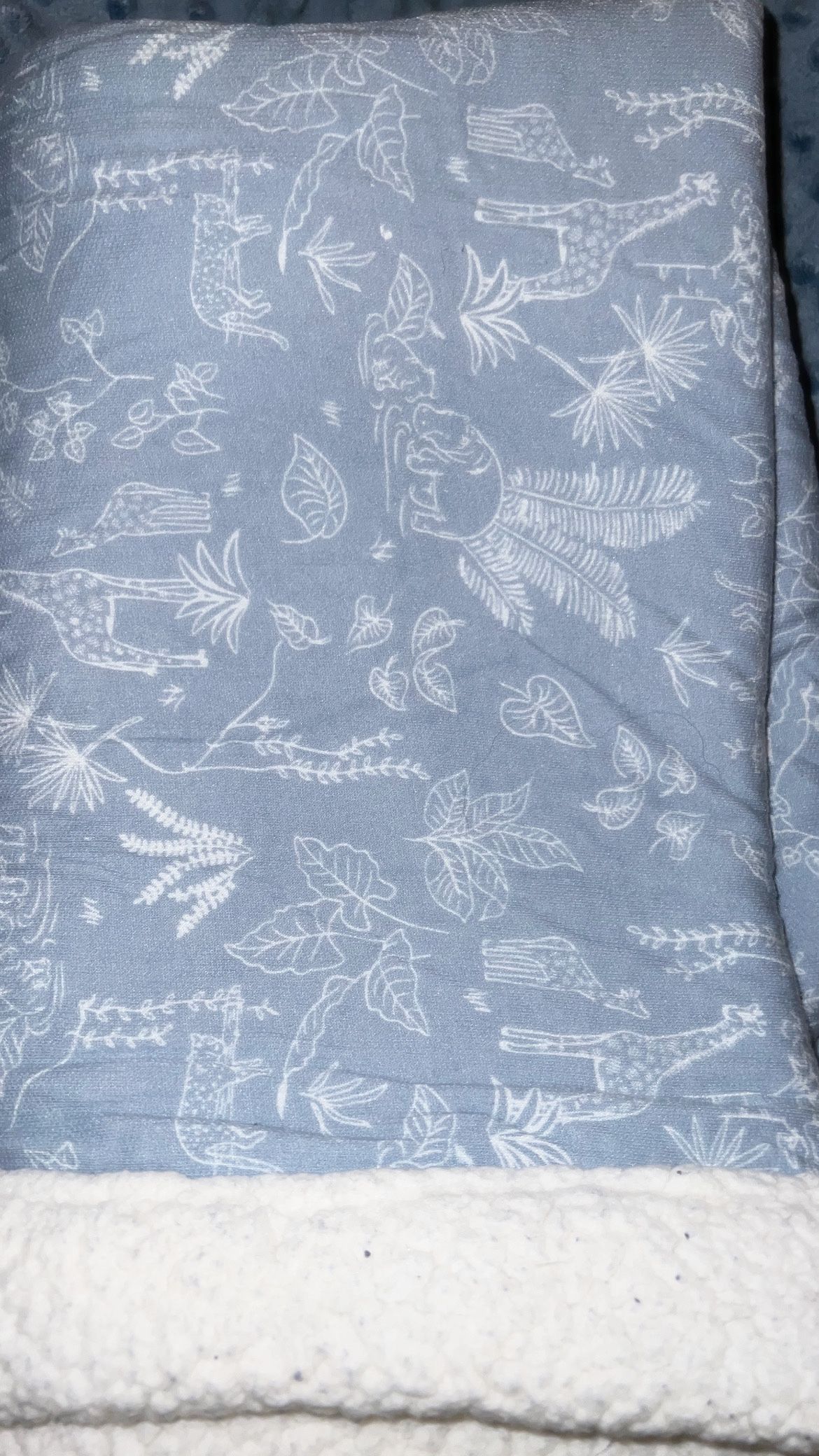 Newborn/Infant Blankets