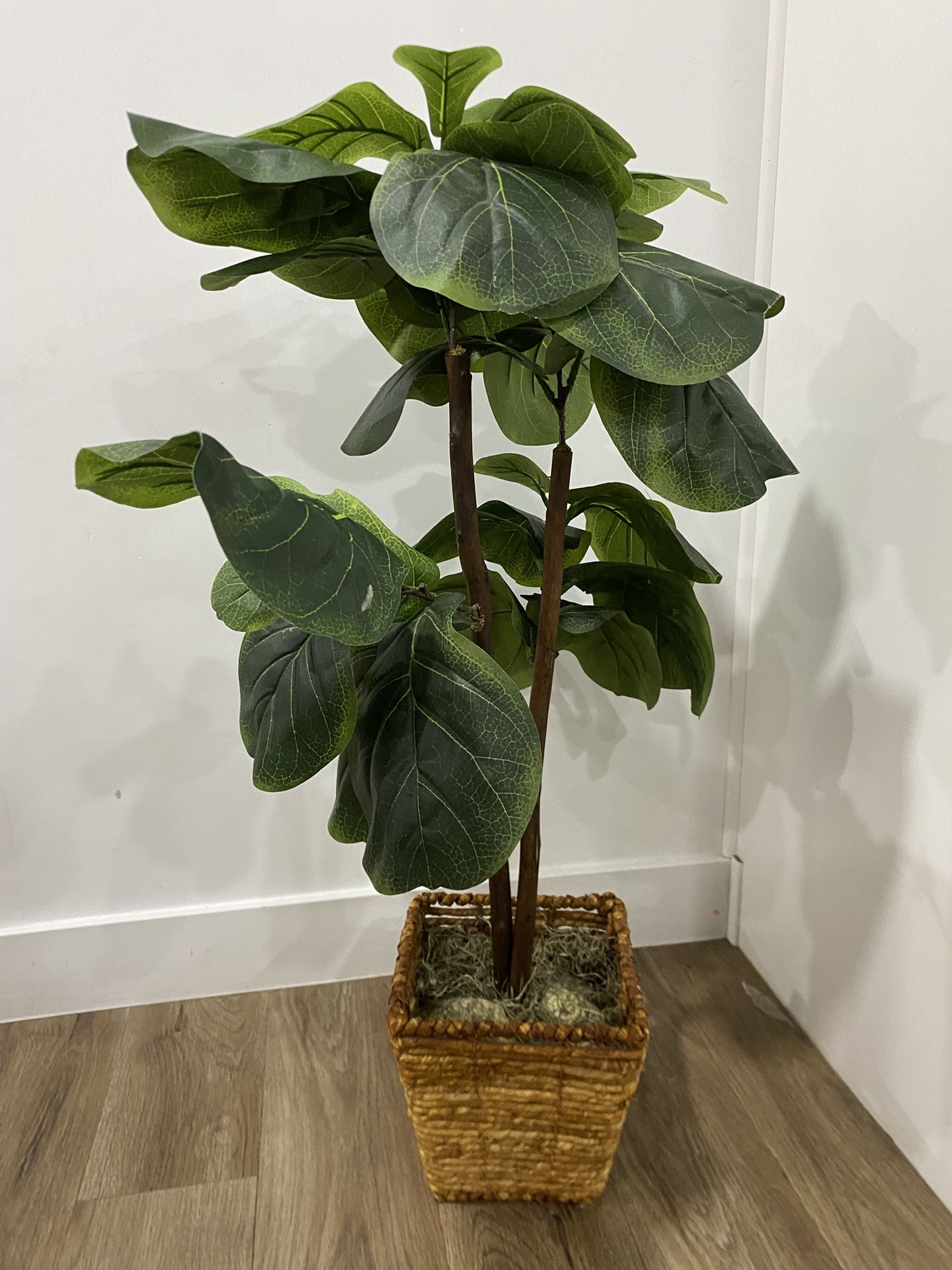 Artificial Fig Plant