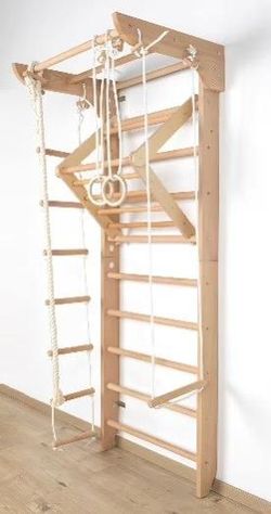 Swedish ladder / indoor playground/ jungle gym for sale