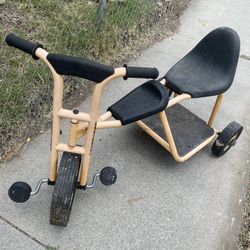 Lakeshore Tricycle Taxi Trike 