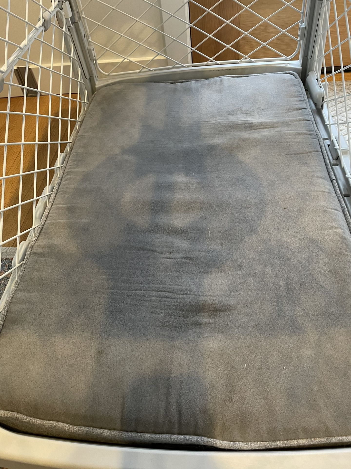 Diggs Revol Dog Crate, M for Sale in Seattle, WA OfferUp