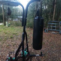 Everlast Punching Bag