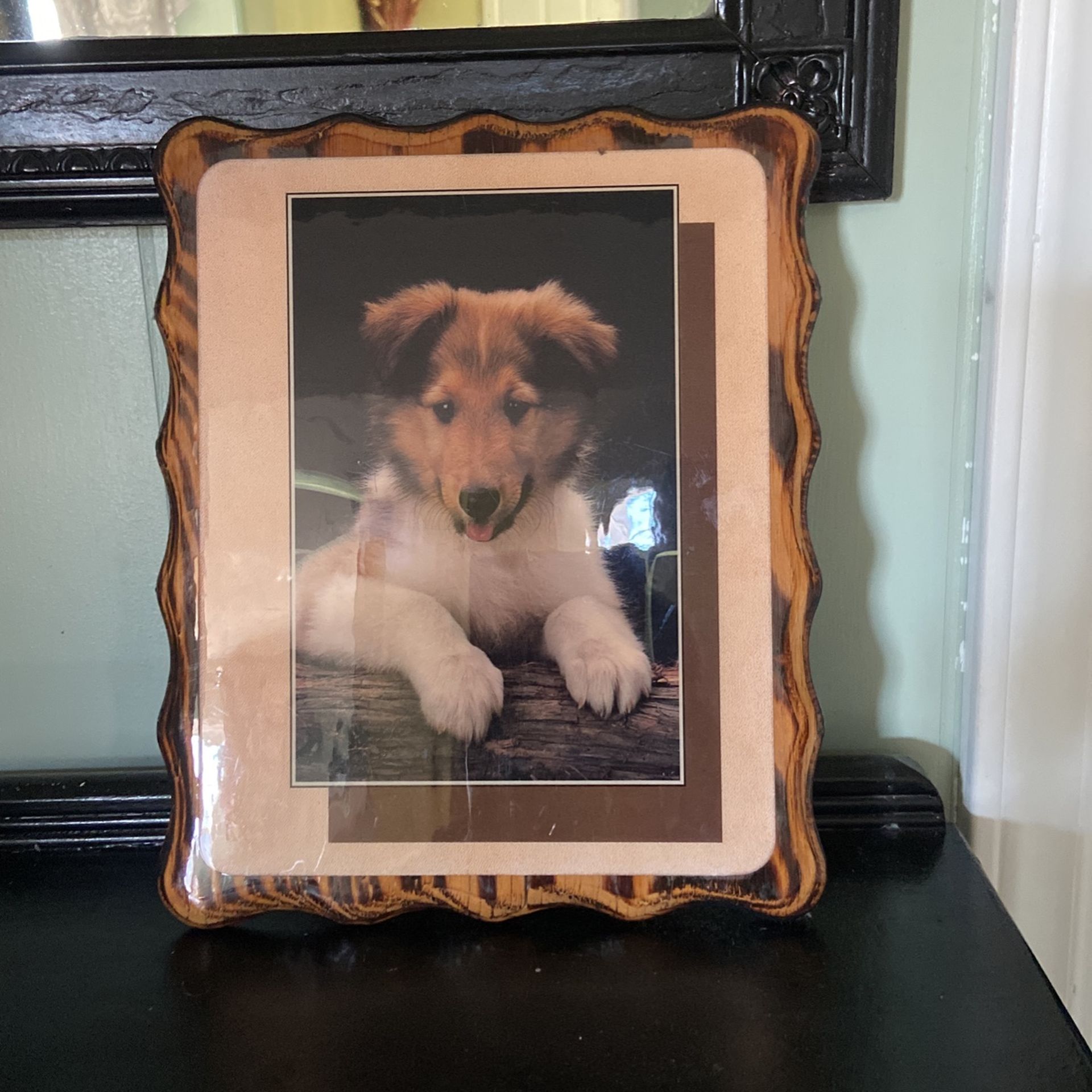 Wood  Dog picture